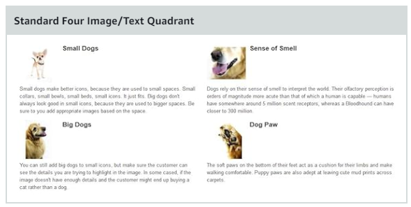 Multi Image Module & Text Quadrant