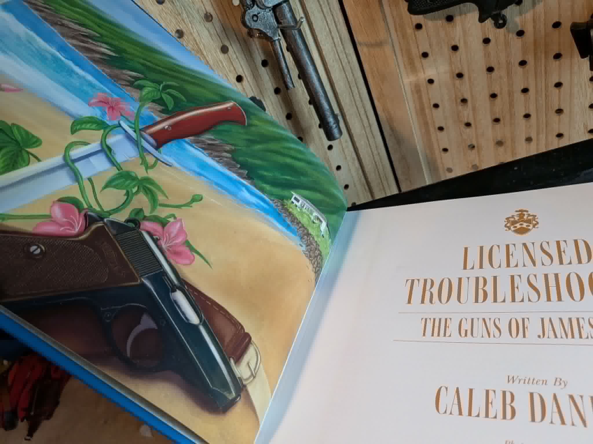 Licensed Troubleshooter Interior Image